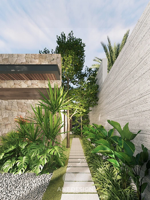 Lối đi sân vườn bên hông nhà trồng cây xanh